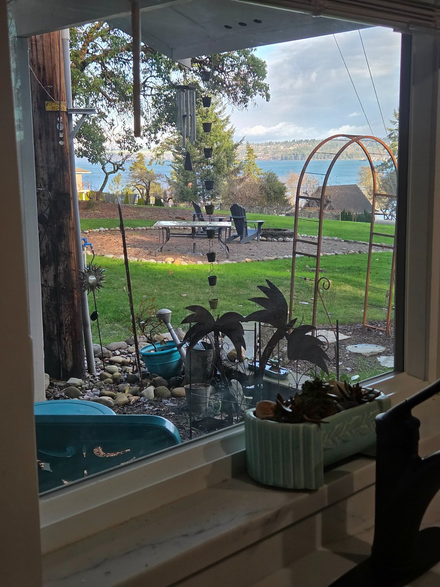 View from Your Kitchen Window
