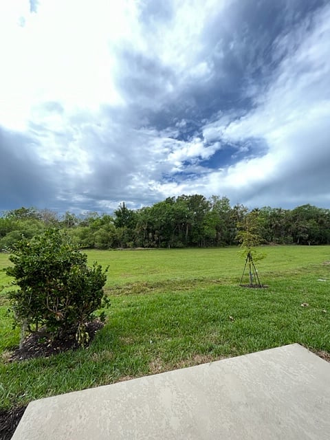 backyard view