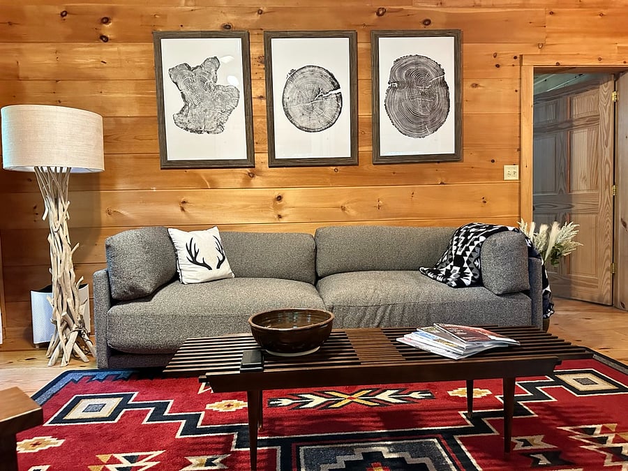 Living Room, comfortable couch