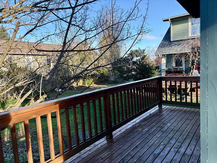 Back deck overlooking maple tree and shared yard.