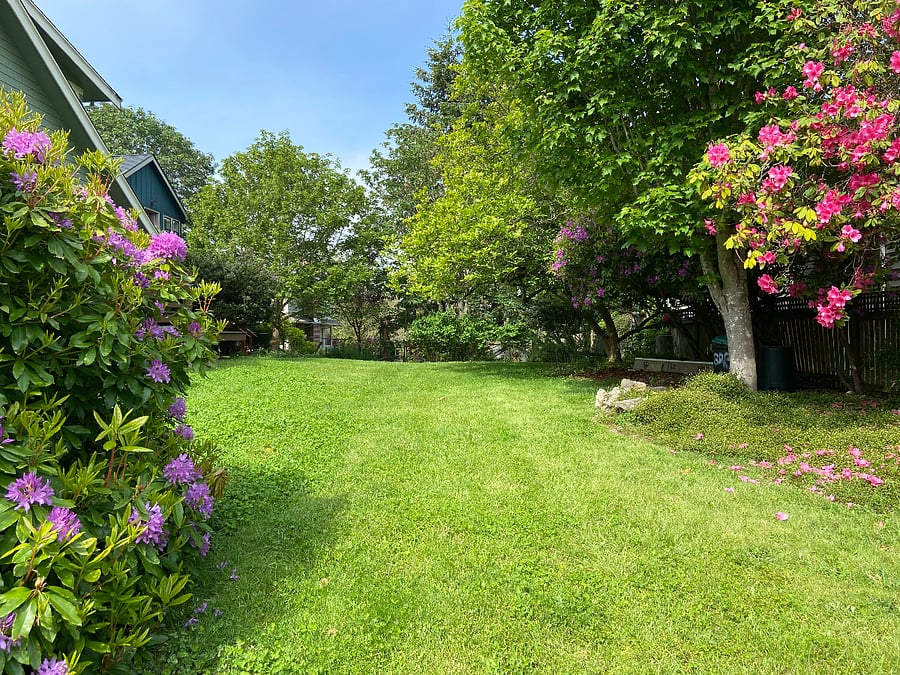 Shared yard in spring (you can see the roofline of the rental house on upper left)