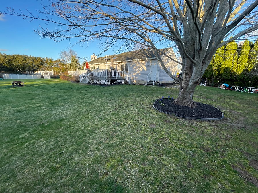 Furnished Finder property 946521_1 photo 5