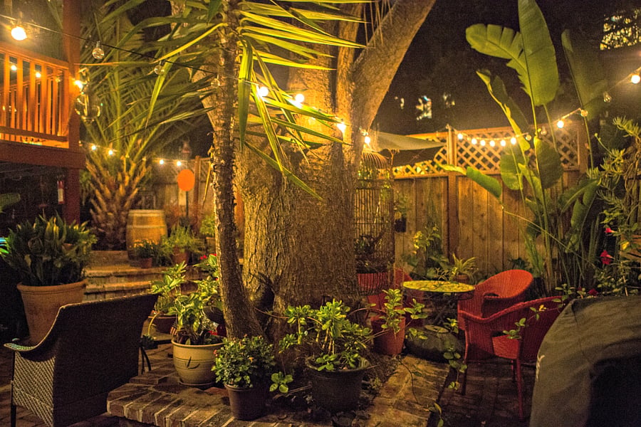 Garden at Nighttime