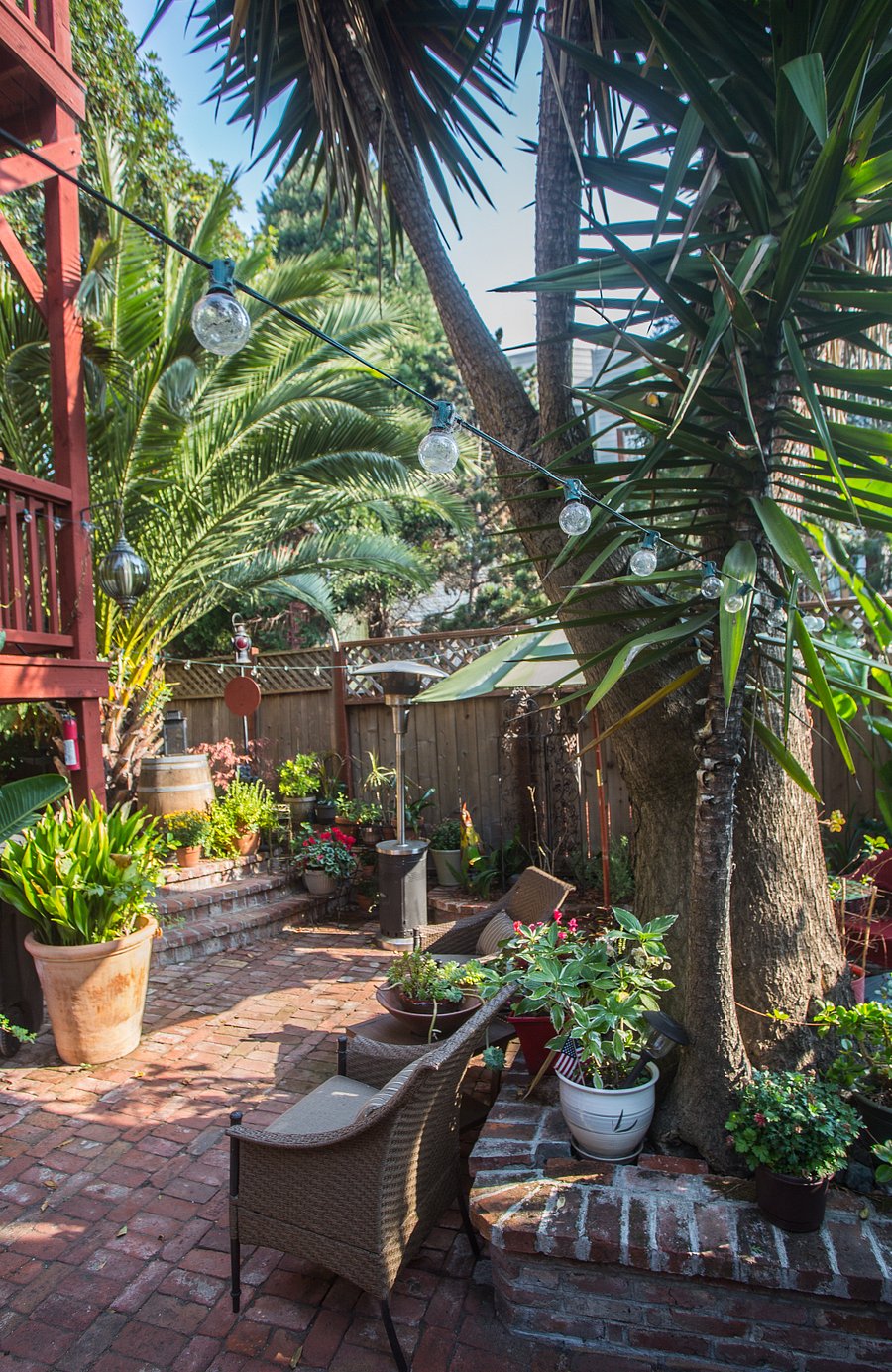 Lush Patio Garden