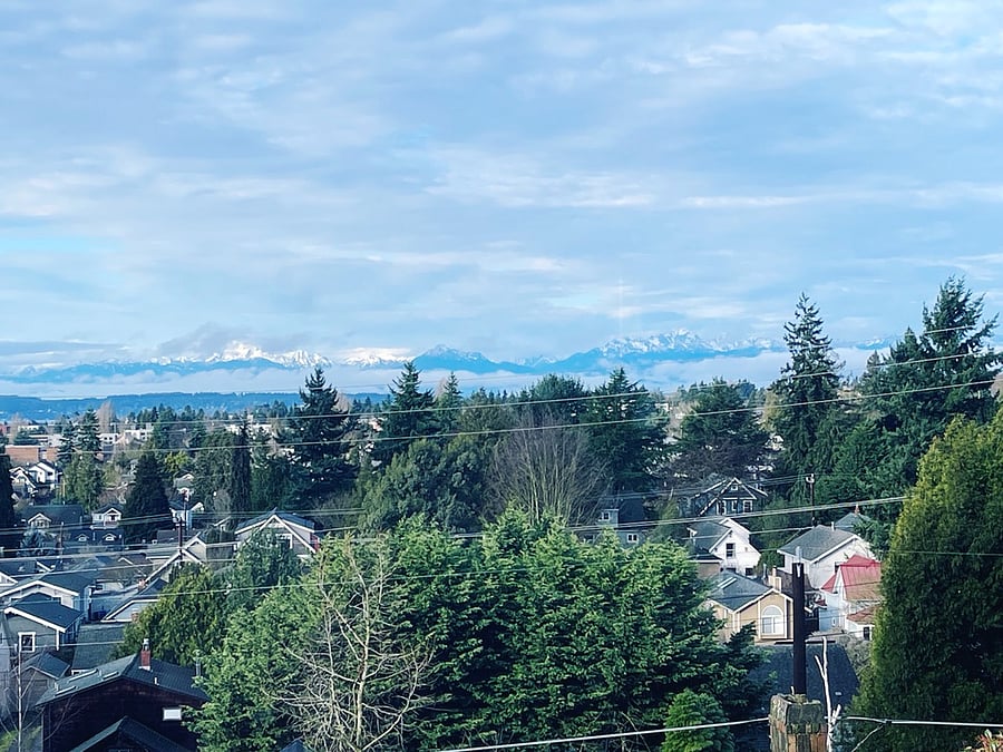 View of the Olympic Mountains from the quiet back deck.