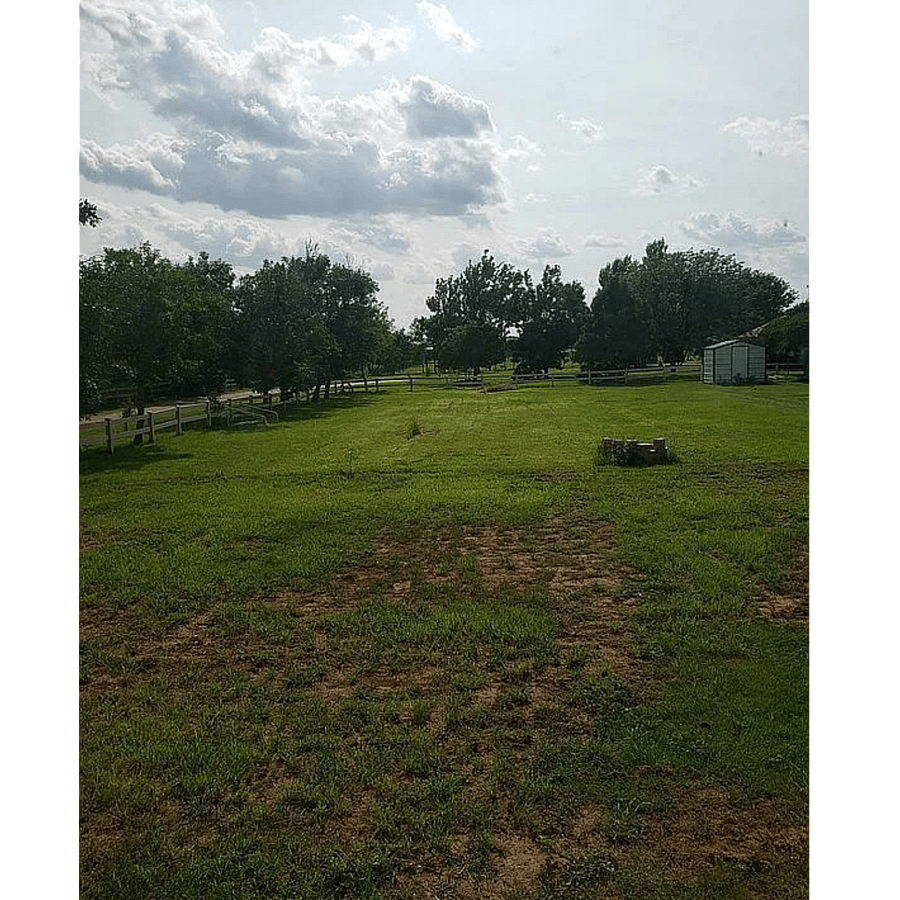.50 Acre back yard
