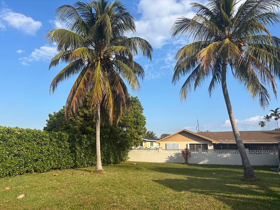 Large back yard