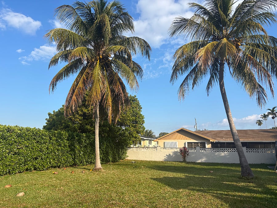 Large backyard