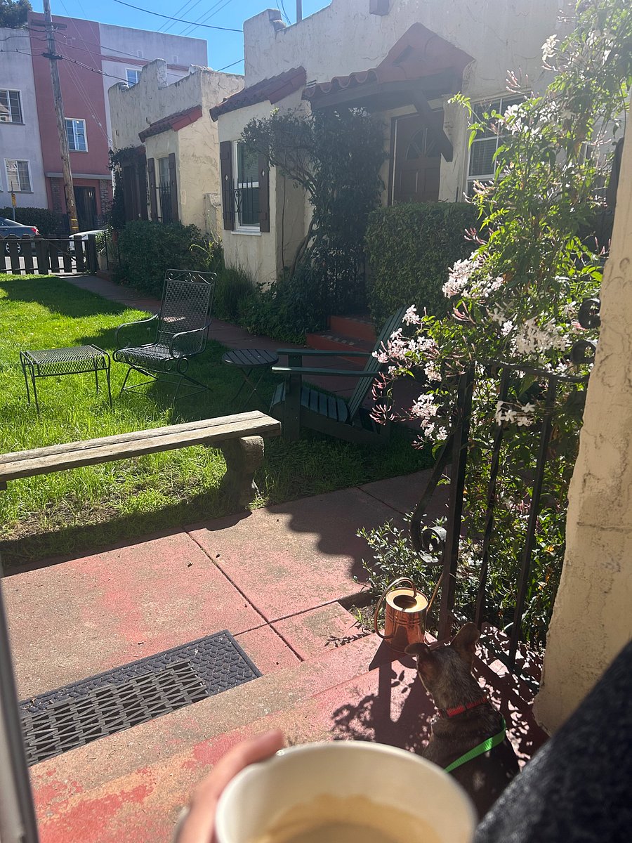 View from the front door. Shared patio furniture and morning sunshine