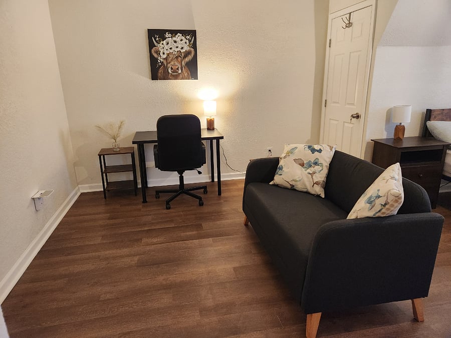 Smart TV on wall across from the loveseat, cozy area rug to come. 