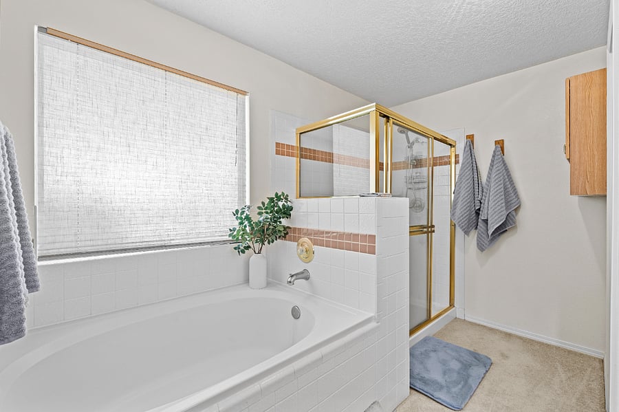 large master bathroom and tub