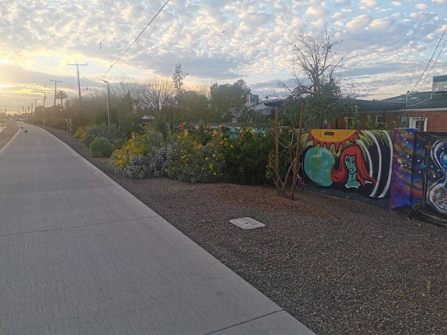 Creative murals and plush vegetation line the canal.