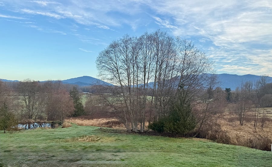 View from main house