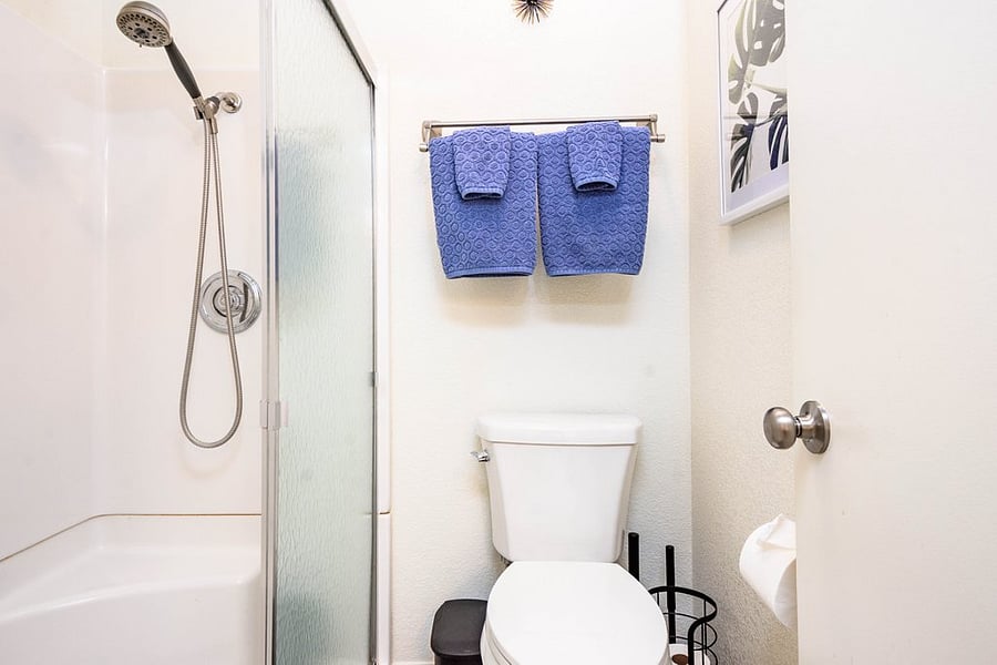 primary bathroom
