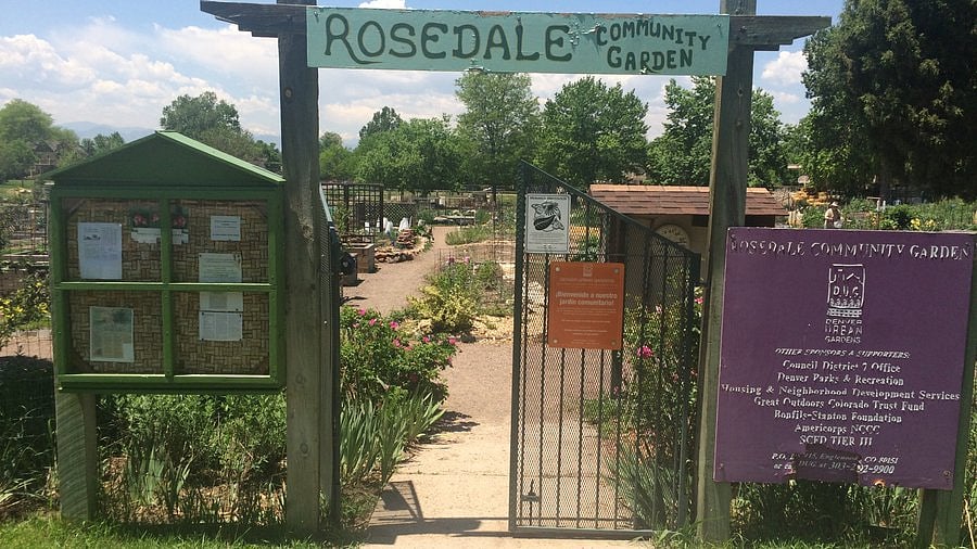 Rosedale Community Garden!