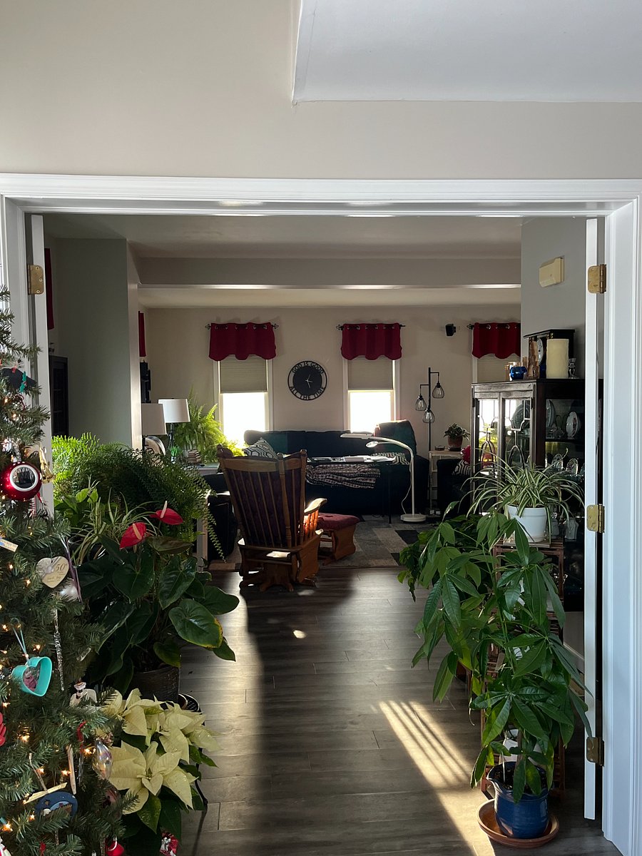 Furnished Finder property 948228_1 photo 6
