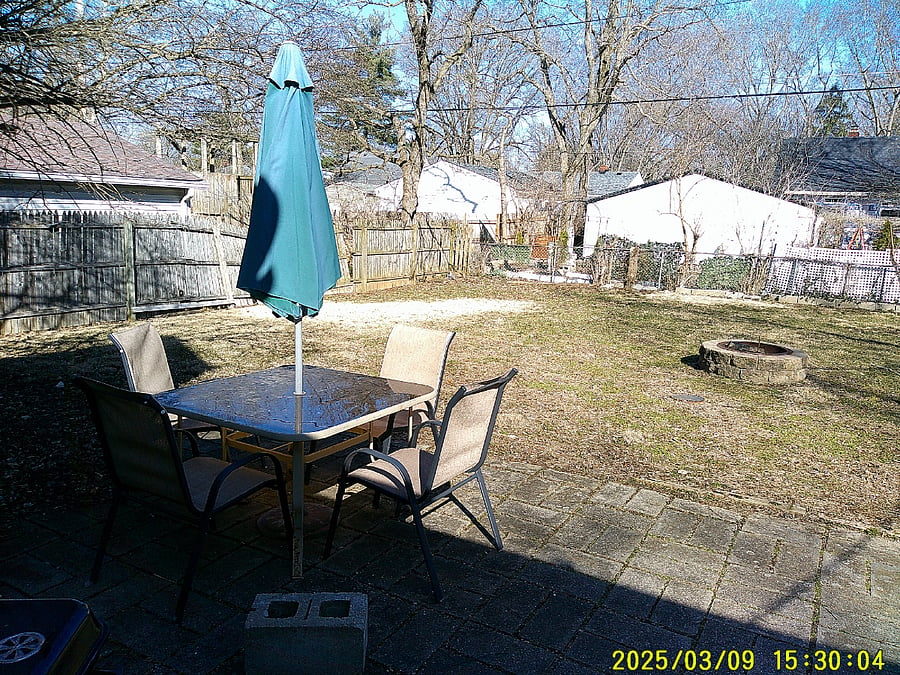 Backyard - New fence was already installed. 