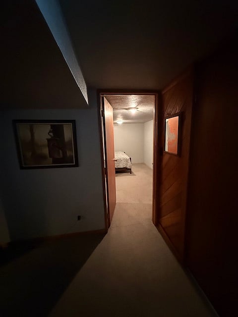Entry to basement bedroom