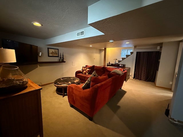 Basement living room