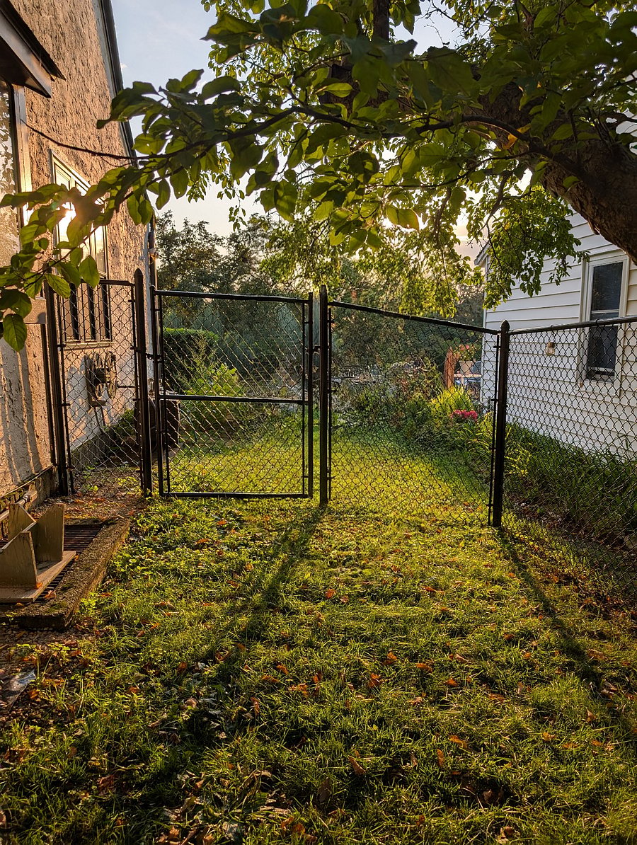 Fenced in back and side yard.