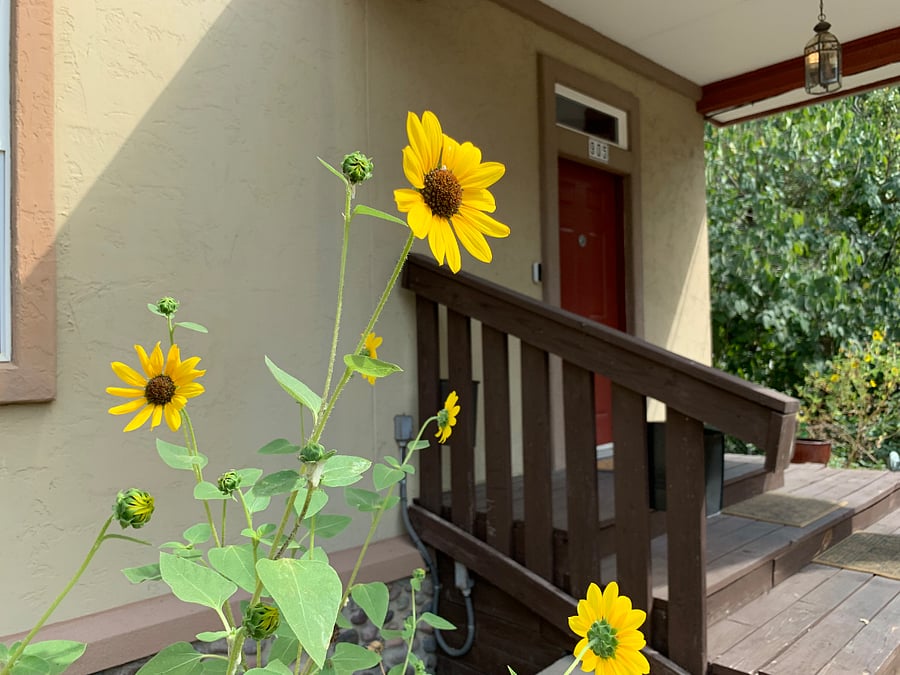 Cozy corner room with private bathroom and desk. Queen bed. Ceiling fan and TV. Wifi. Fully furnished with all bills included. Block out shades. Music themed room. Walk to Murrays Tavern!