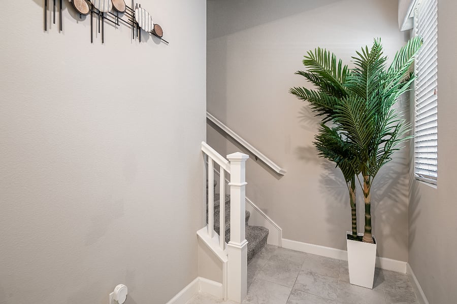 Plant that leads to the stairs to the second floor