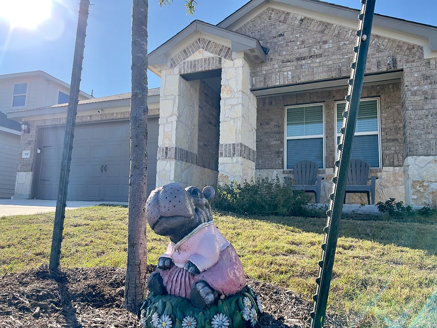 Our Hutto Hippo!