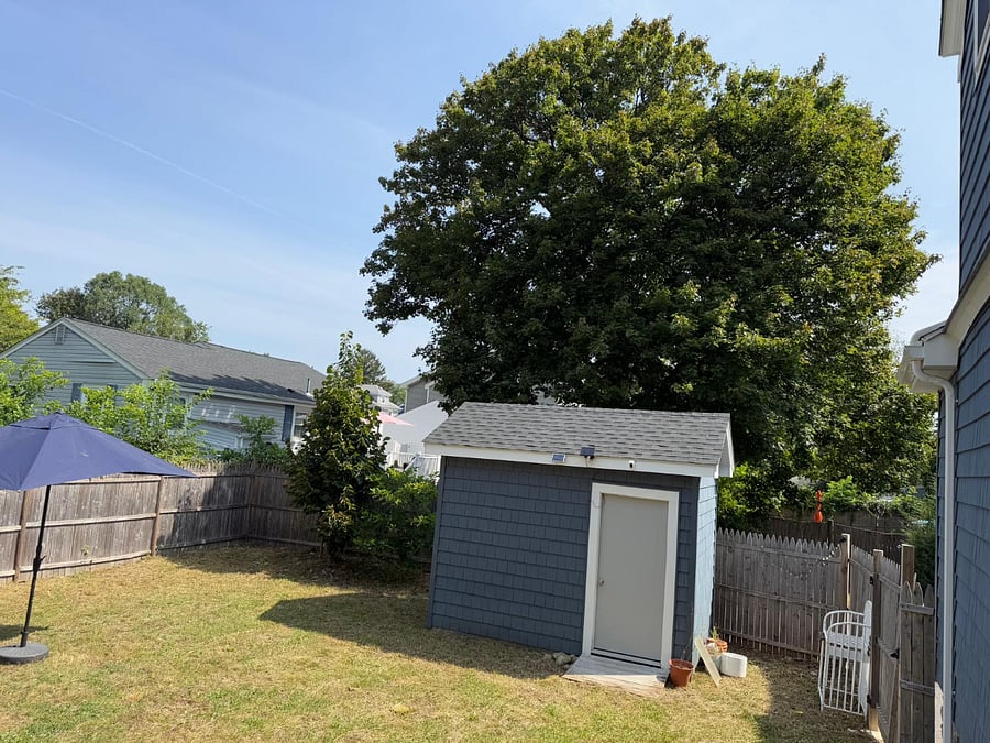 Backyard with shed for storage, where outdoor seating is stored