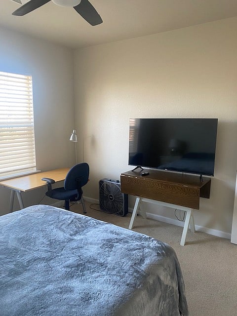 Renter's bedroom