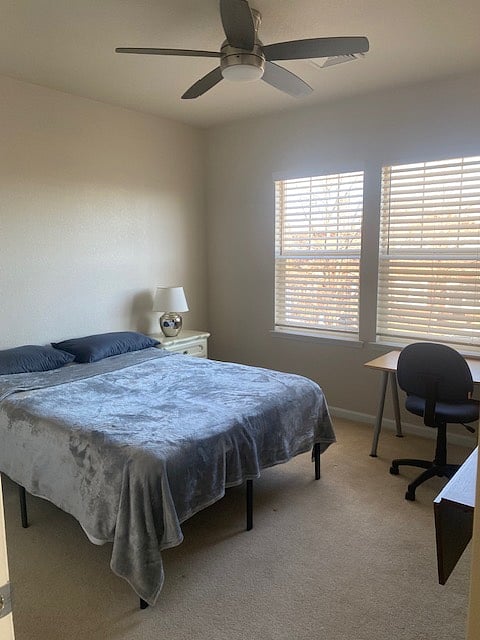 Renter's bedroom