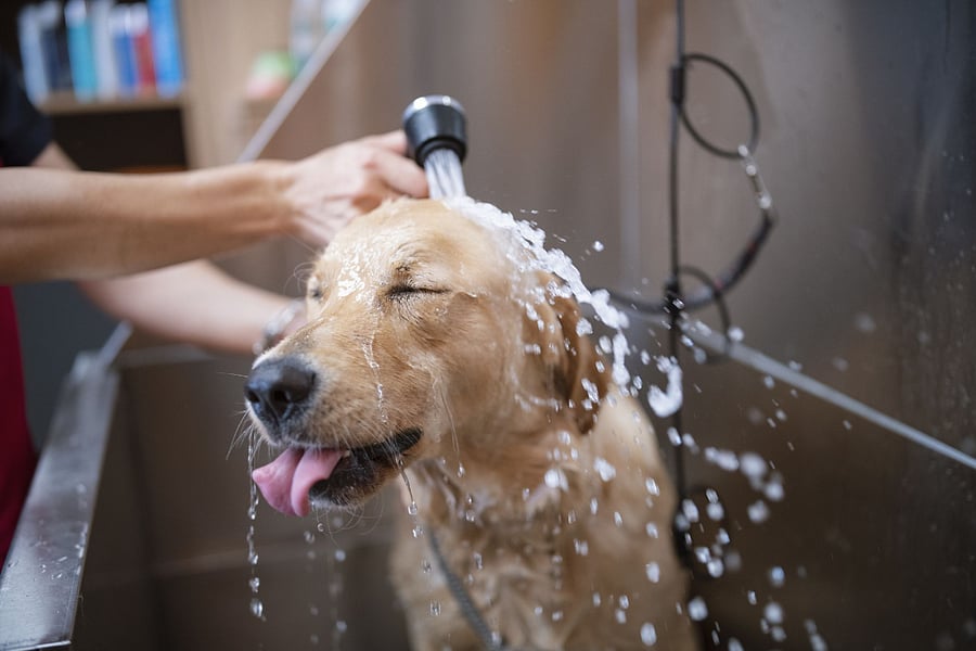 We are Pet Friendly! Dog wash station
