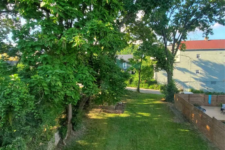 Backyard