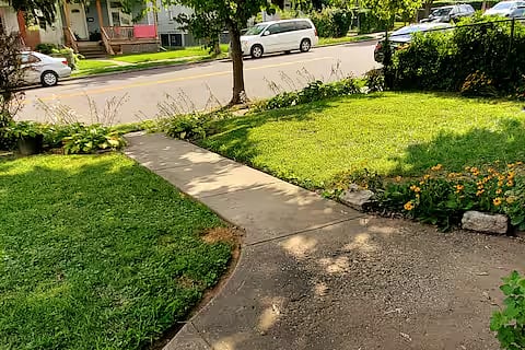 Front Yard