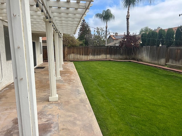 Backyard