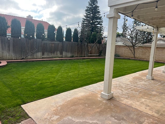 Backyard