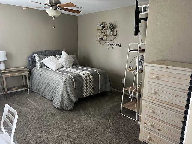 Downstairs bedroom