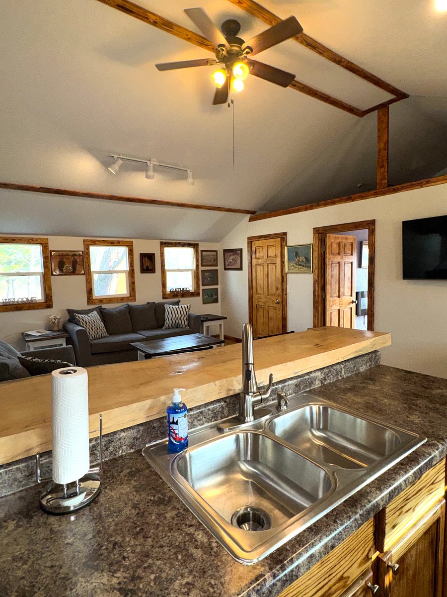 Kitchen and Livingroom