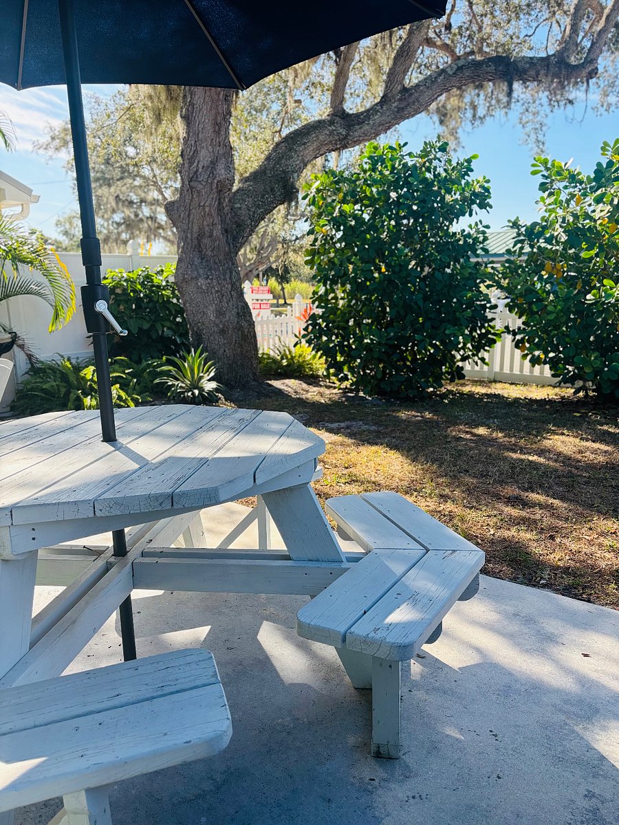 Back Patio