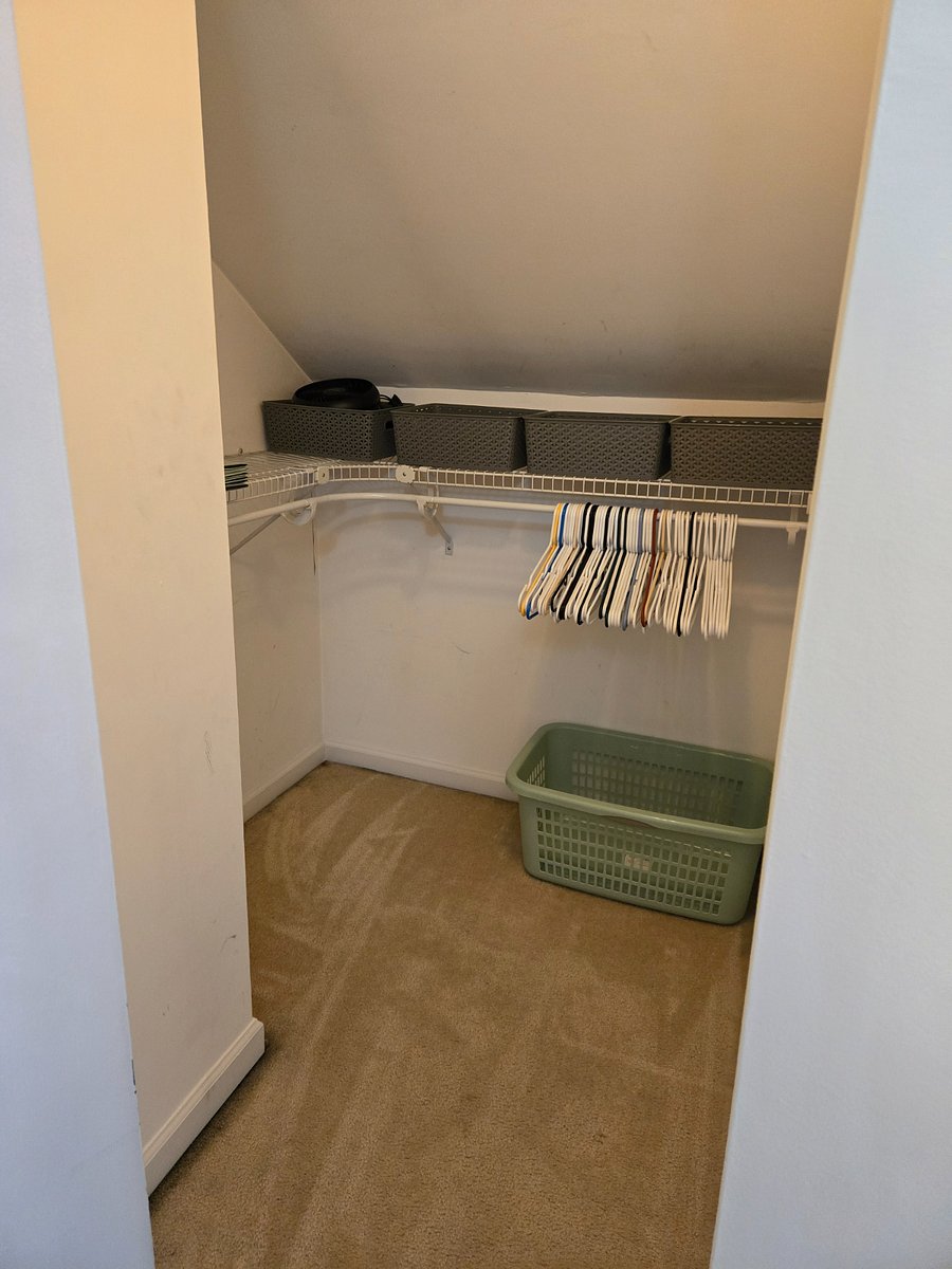 Guest bedroom closet
