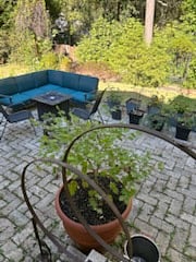 Patio in back of house
