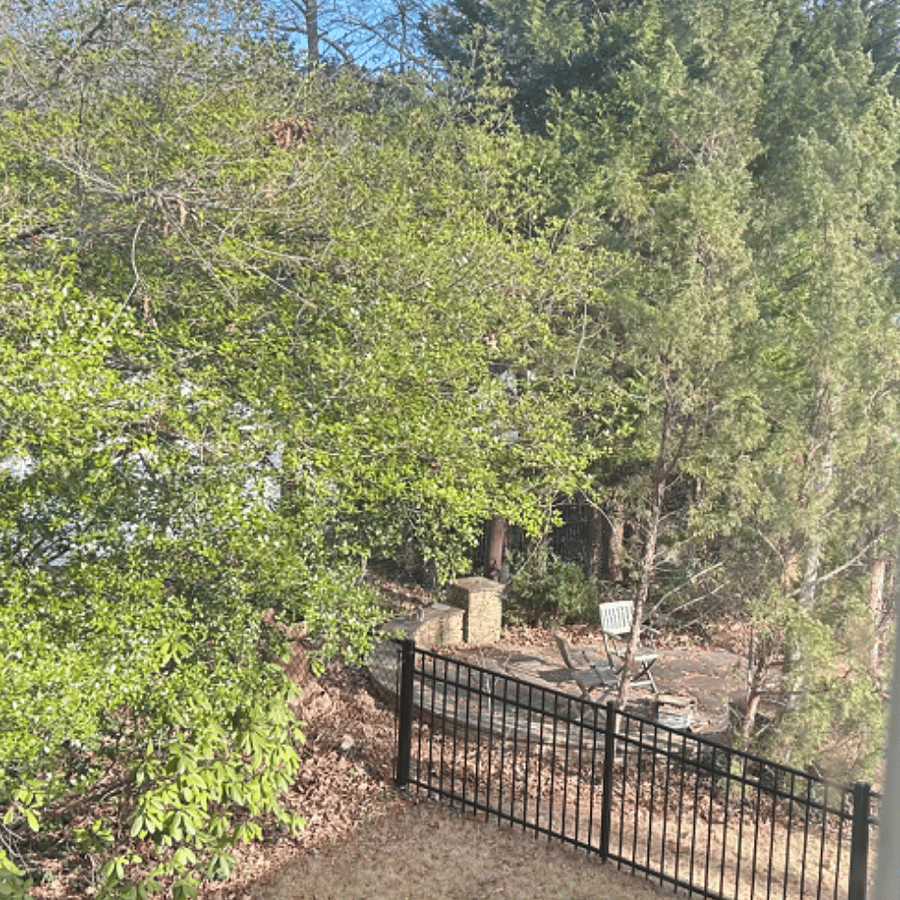 view from upstairs