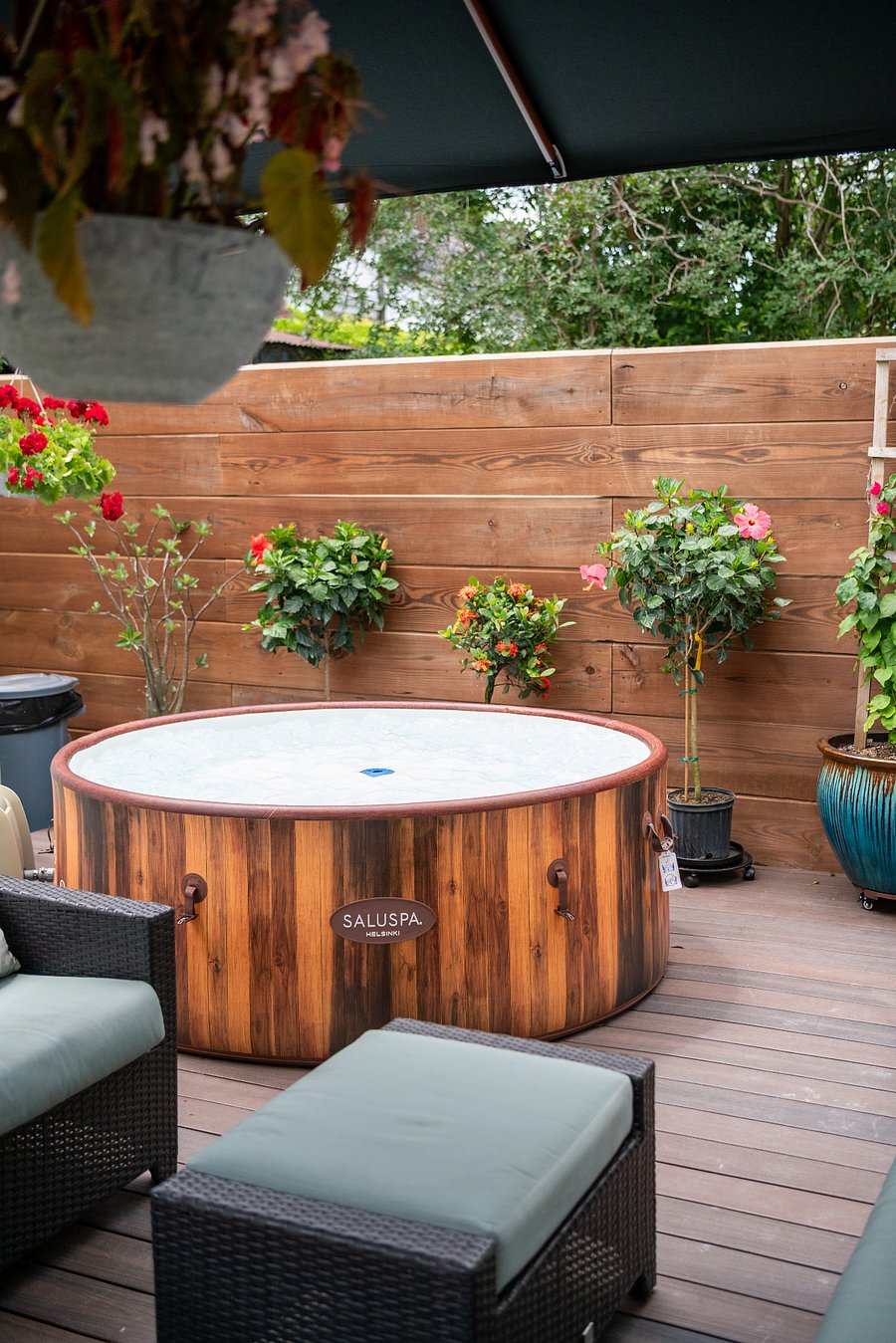 Shared Backyard