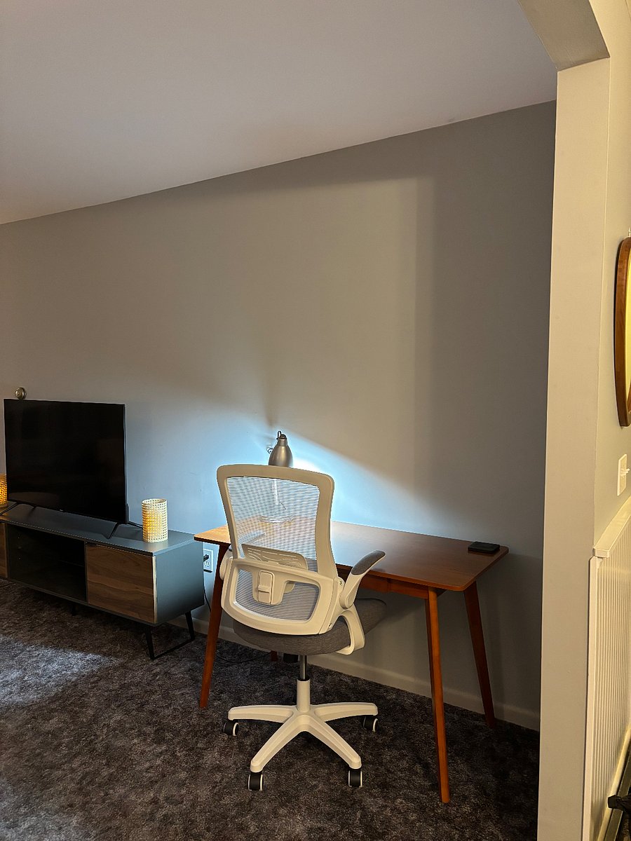 Desk/ Workspace Area