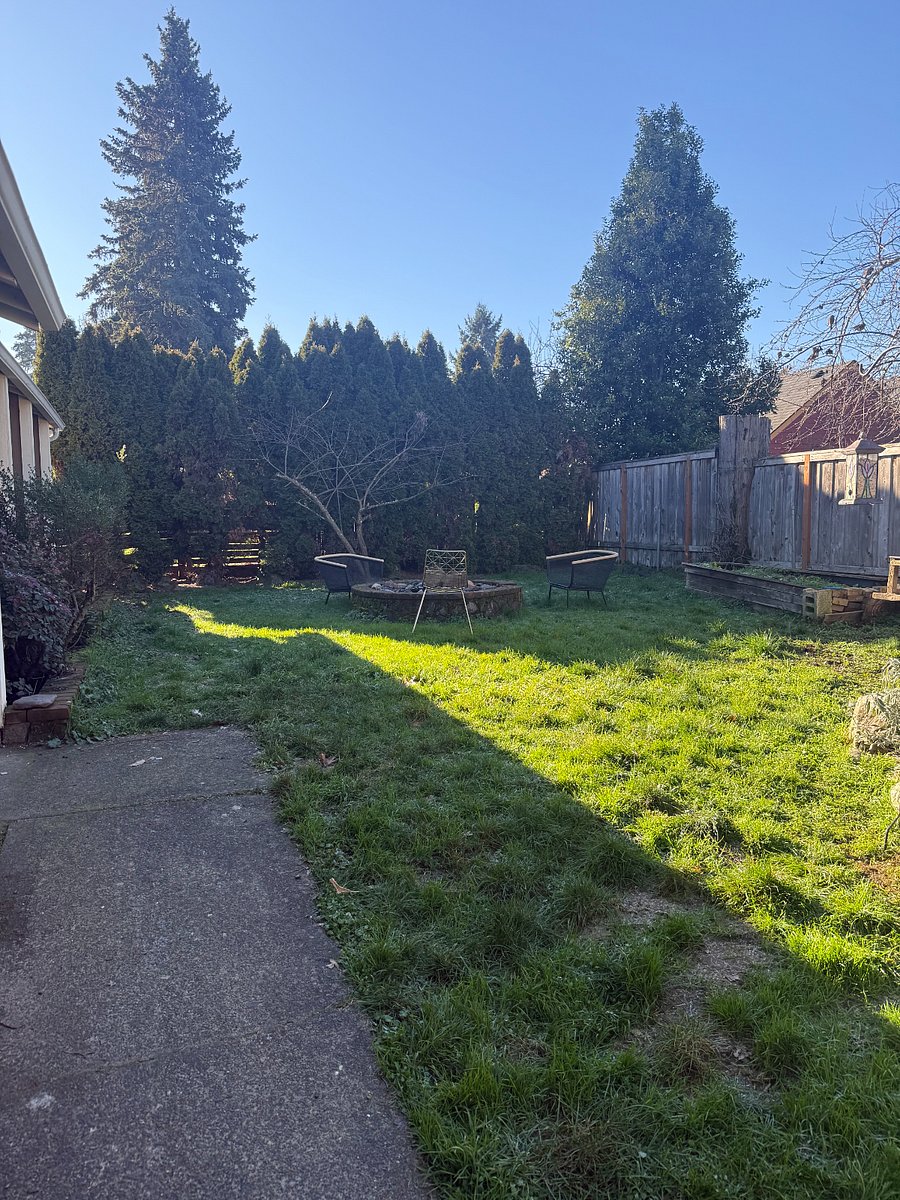 Fully fenced yard with plum trees and fire pit.