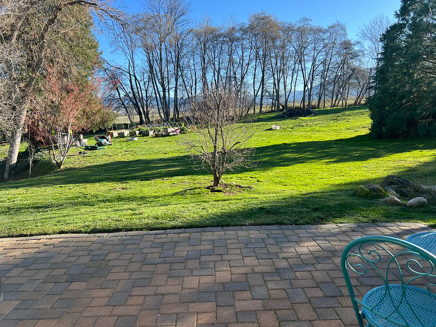 Private patio
BackyardPaPatio