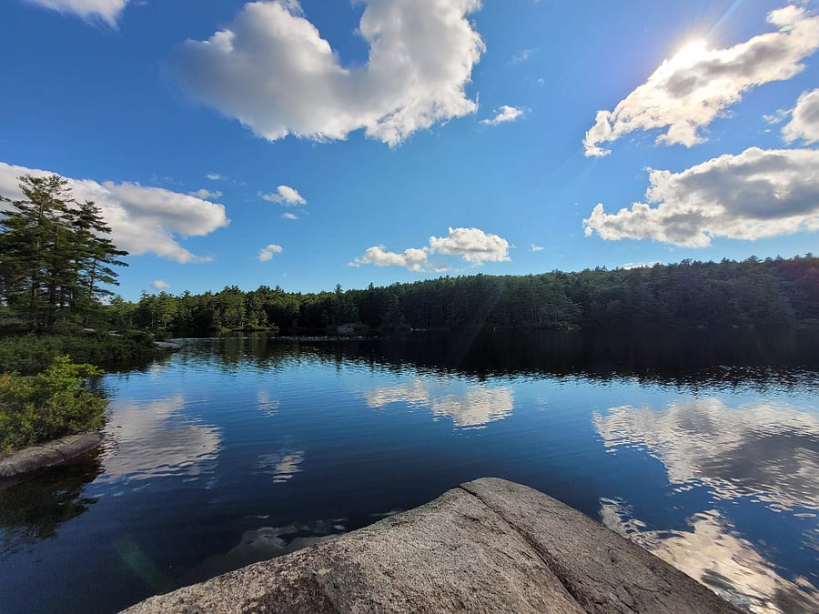 Fantastic swimming at nearby Kilburn Pond in Pisgah State Park (hikable from the house). 