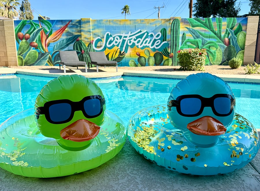 New Scottsdale Mural by local artist!