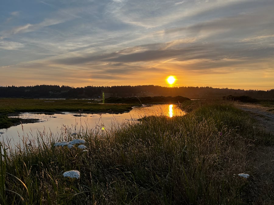 Deer Lagoon walk