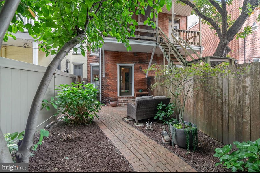 Back yard