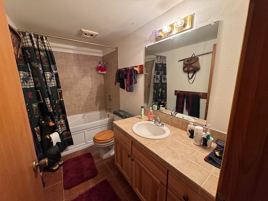 Downstairs bathroom with tub/shower